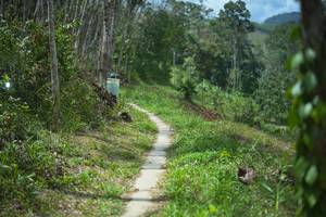 BIB: 
                            <button type="button" onclick="openModal(21744952)" class="btn btn-primary btn-sm float-right btn-popup" data-toggle="modal" data-target=".modal-high-quality">
                        <i class="fas fa-shopping-cart"></i> Add to Cart
                    </button>
                                            <button type="button" onclick="isThisMe(21744952, true)" class="btn btn-success btn-sm float-right btn-popup btn-isme hidden" data-toggle="tooltip" data-placement="bottom" title="นี่คือรูปของคุณใช่ไหม คลิกที่นี่เพื่อเอาเข้าอัลบั้ม">
                        <i class="fas fa-plus"></i> Add to album
                    </button>
                    <button type="button" onclick="isThisMe(21744952, false)" class="btn btn-warning btn-sm float-right btn-popup btn-isnotme hidden">
                        <i class="fas fa-ban"></i> Remove from album
                    </button>